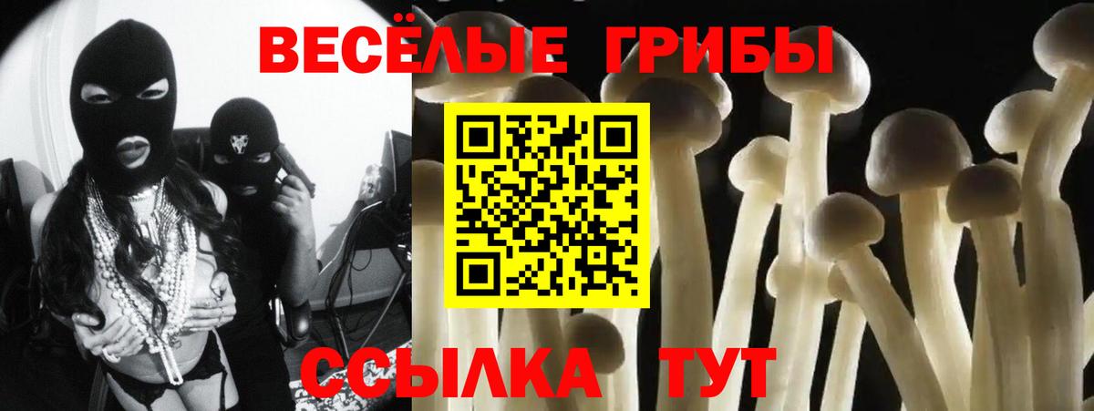 Богородск  Псилоцибиновые грибы MAGIC MUSHROOMS  Вход с VPN  Галлюциногенные грибы Psilocybe 